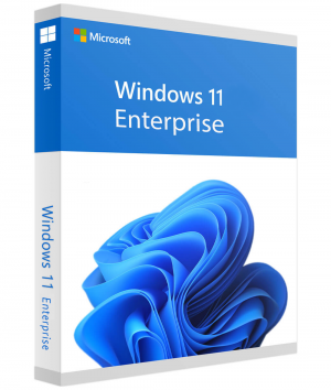 Microsoft Windows 11 Enterprise